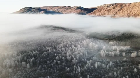 Clouds over the mountains and forest at foggy sunrise. Aerial view. Stock Footage 255635957
