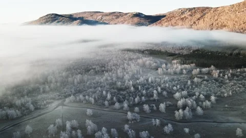 Clouds over the mountains and forest at foggy sunrise. Aerial view. Stock Footage 255637304