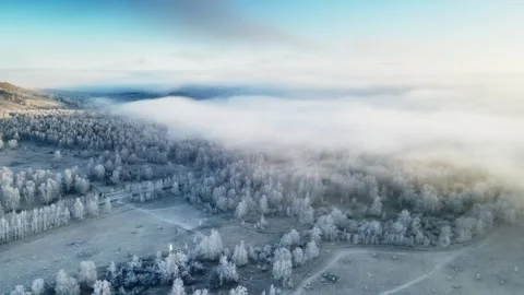 Clouds over the mountains and forest at foggy sunrise. Aerial view. Stock Footage 255637508