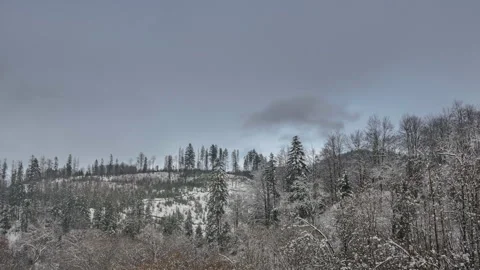 Clouds over the mountains and forest at foggy snowy day timelapse, the camera Stock Footage 258299477