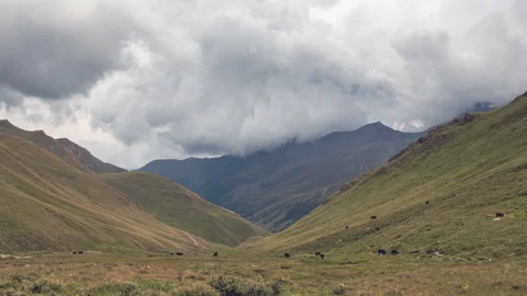 Clouds over the mountains valley with cows Vídeo Stock 172983887