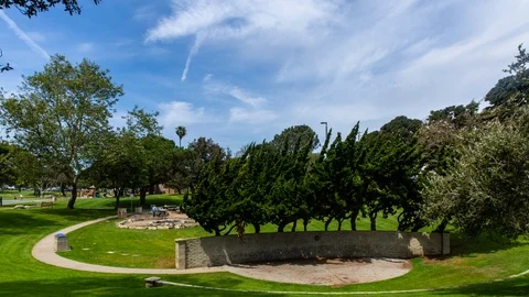 Clouds Over Park 스톡 동영상 100298801