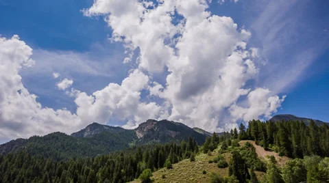 Clouds over pine forest moving Stock Footage 31741202