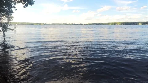 Clouds over the pond and forest on a summer day timelapse Vidéo 87226522