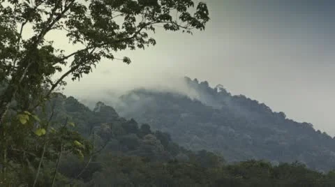 Clouds over the Rainforest Stock Footage