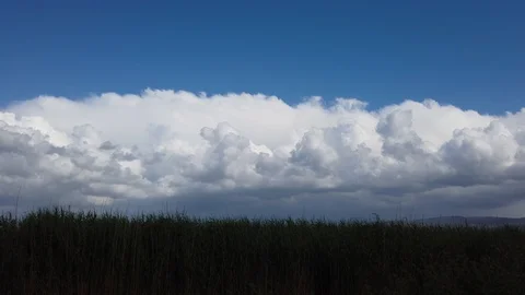 Clouds over the Reed Time Lapse (60 fps) Stock Footage 115238286