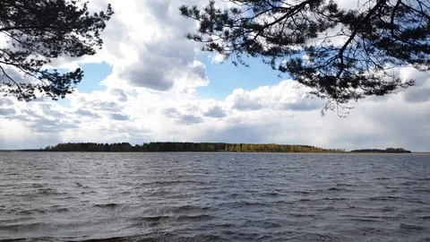 Clouds over the river and a branch of spruce. Forest River. Stock Footage 107564851