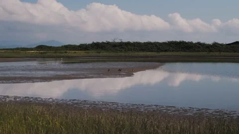 Clouds over the river Stock Footage 138068014
