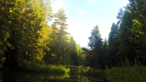 Clouds over the river in forest timelapse Stock Footage 87229355