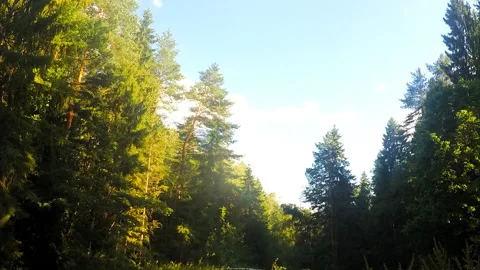 Clouds over the river in the forest timelapse Stockbeeldmateriaal 87233708