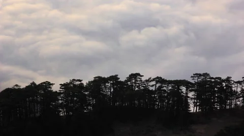 Clouds over the sea at sunrise under forest Stock Footage 44906722