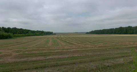 Clouds over the sloping field, wildlife preserve, Russia Stock Footage 66566434