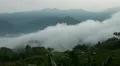 Clouds over small cemetery in Jungle HD Footage