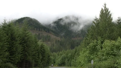 Clouds over a small mountain and forest Video stock 75249671