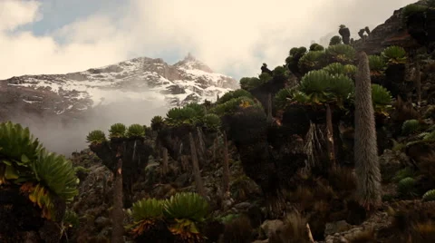 Clouds Over Snowy Mt. Kenya Peak Stock Footage 42398312