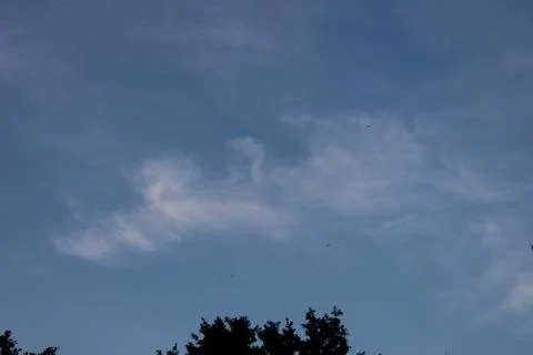 Clouds over some trees. Stock Photos