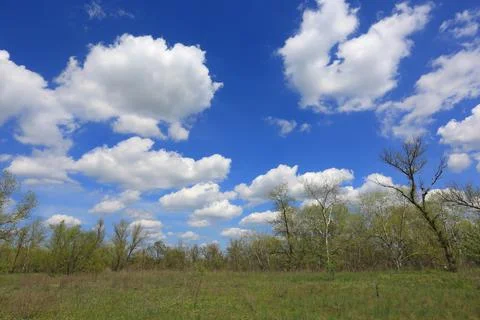 Clouds over spring meadow Stock Photos