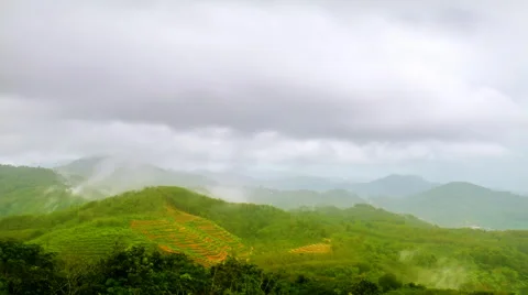 Clouds over tea plantation Stock Footage 54619447