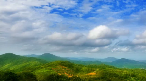 Clouds over tea plantation Stock Footage 54619492