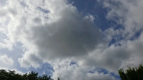 Clouds over tree tops #1 Stock Footage 94494317