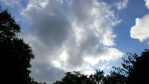 Clouds over tree tops #2 Stock Footage 94494410