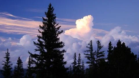 Clouds over the treeline Stock Photos