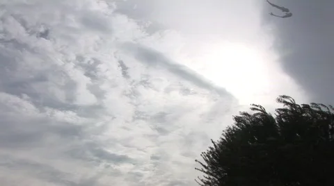 Clouds over trees 1 Stock Footage 266721