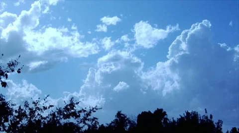 Clouds over trees 스톡 동영상 8831608