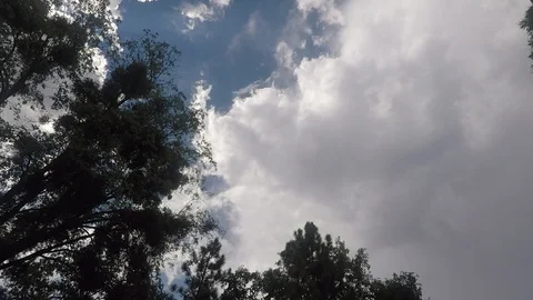 Clouds over trees 스톡 동영상 94670305