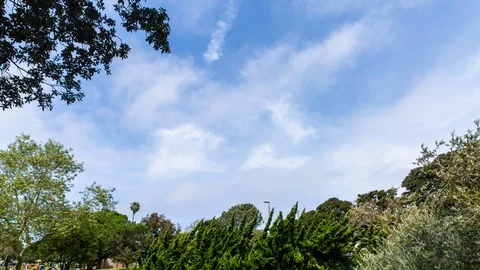 Clouds Over Trees 스톡 동영상 100298814