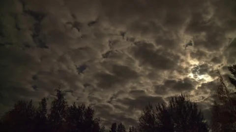 Clouds over trees at night Video stock 84259415