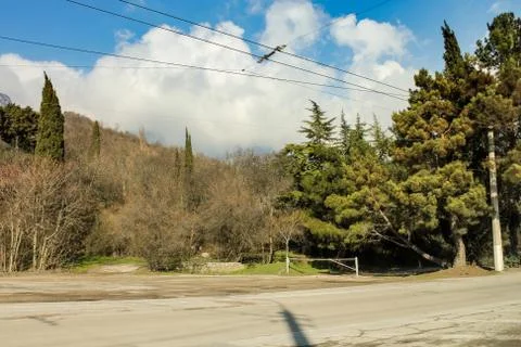 Clouds over the trees. Фото