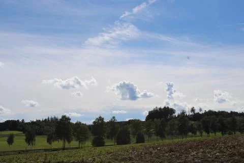 Clouds over trees. Foto stock