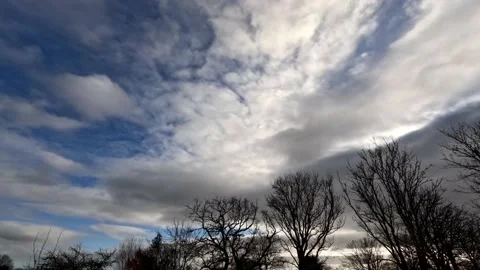 Clouds over trees timelapse 動画素材 168840003