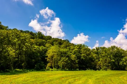 Clouds over trees in york county, pennsylvania. Foto stock