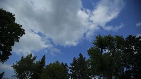 Clouds Over Trees1 Stock Footage 46312597