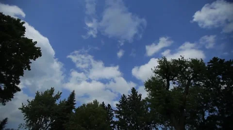 Clouds Over Trees2 Stock Footage 46312649