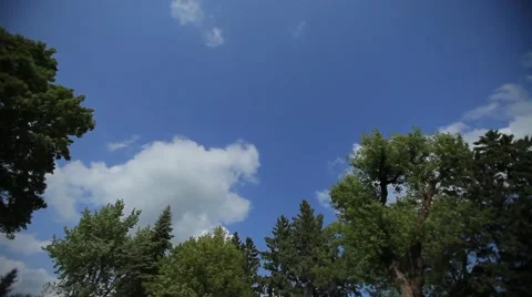 Clouds Over Trees3 Stock Footage 46312595