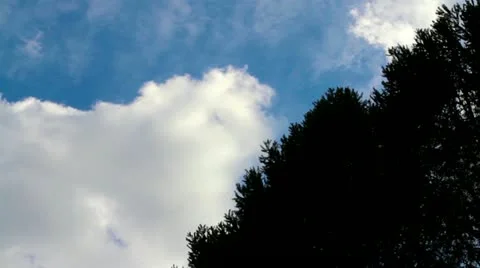 Clouds over the treetops. Time lapse. Stock Footage 10913290