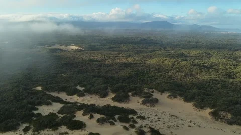 Clouds Over View Of Sand Dunes And Forest, 6K Видео 333604411