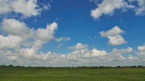 Clouds over a wheat field during sunset. Agribusiness in an ecologically clea Stock Photos
