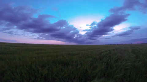 Clouds over wheat field Video stock 38004784