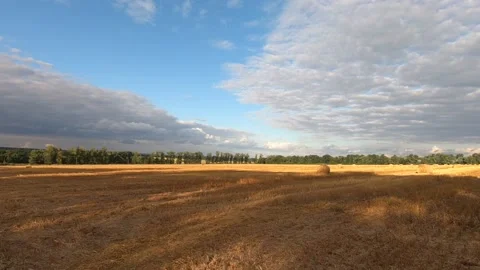 Clouds over the wheat field. Stock Footage 141127338
