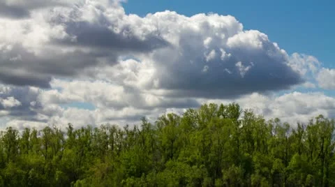 Clouds over the wood Stock Footage 10947096