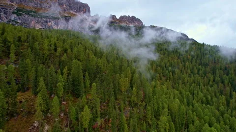 Clouds over the woods of the Dolomites Stock Footage 220668014