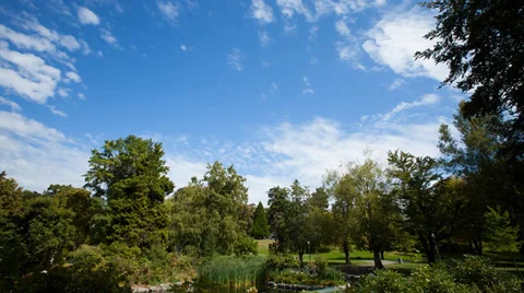 Clouds in Park Stock Footage 33307949