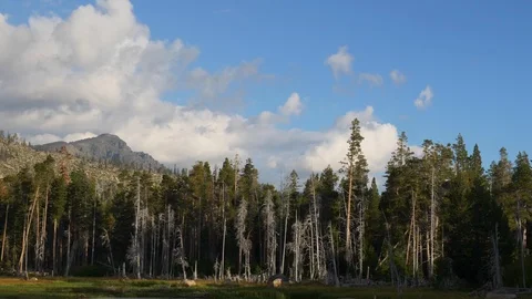 Clouds Pass Over Mountain and Forest Video stock 116689447