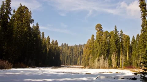 Clouds Pass Over Winter Meadow Timelapse Stock Footage 65053153