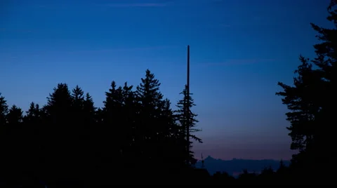 Clouds Pass by Pine Forest at Dusk 4K Stock Footage 61550642
