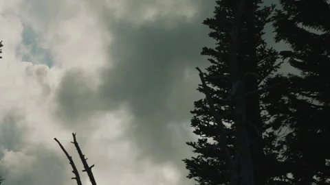 Clouds Pass Sun With Pine Trees in Foreground Видео 232167789